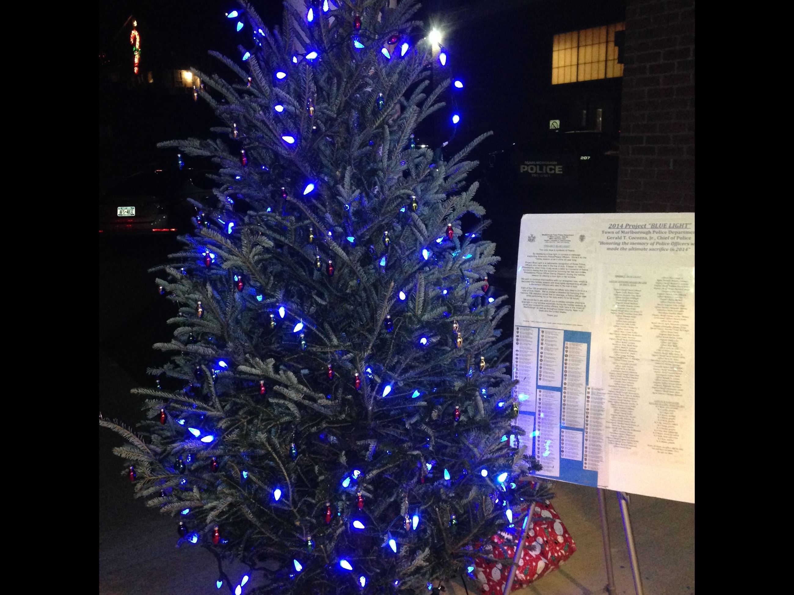 Blue Light Tree