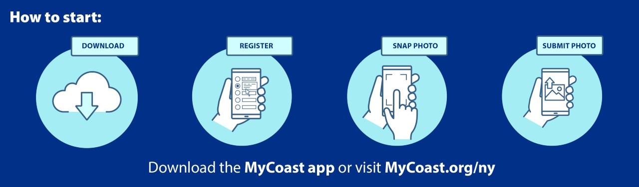 MyCoast NY infographic to direct users on how to submit photos to webpage and mobile app.